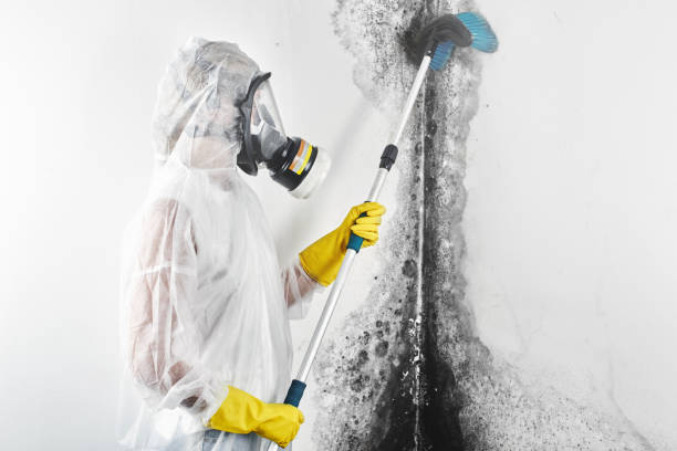 Best Air Quality Testing for Mold Spores  in Oxford, OH
