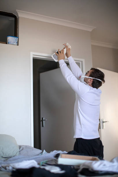 Best Emergency Mold Remediation  in Oxford, OH