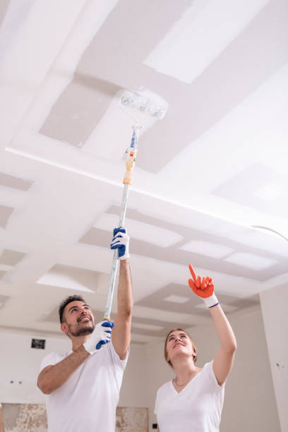 Best Industrial Mold Remediation  in Oxford, OH