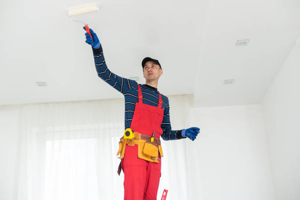 Best Biohazard Mold Removal  in Oxford, OH
