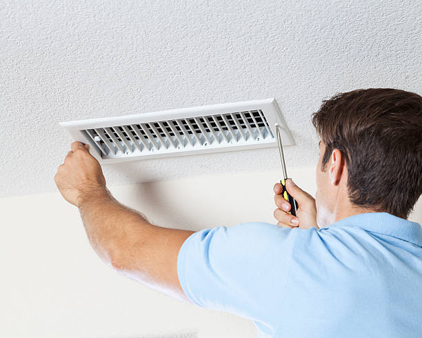 Best Attic Mold Removal  in Oxford, OH